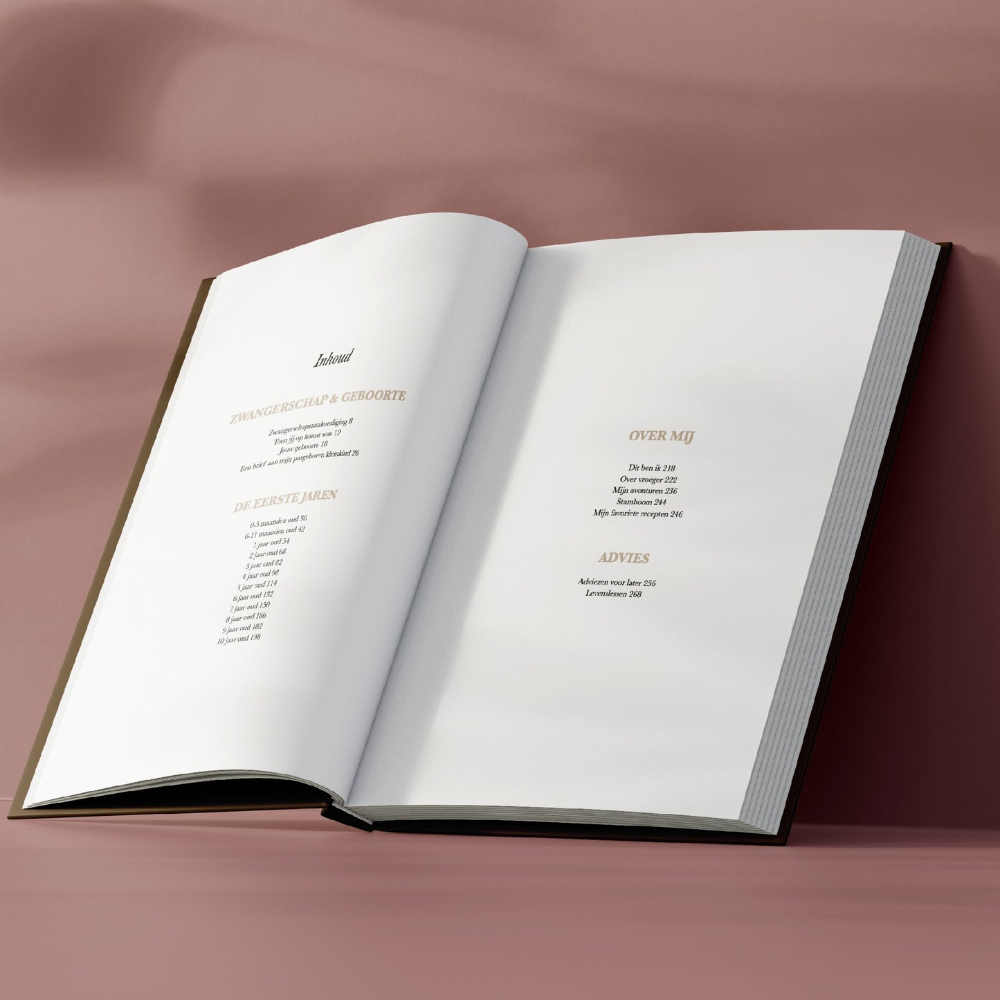 Birth Lines 'Sinds Jij Mijn Kleinkind Bent' Grootouder Invulboek