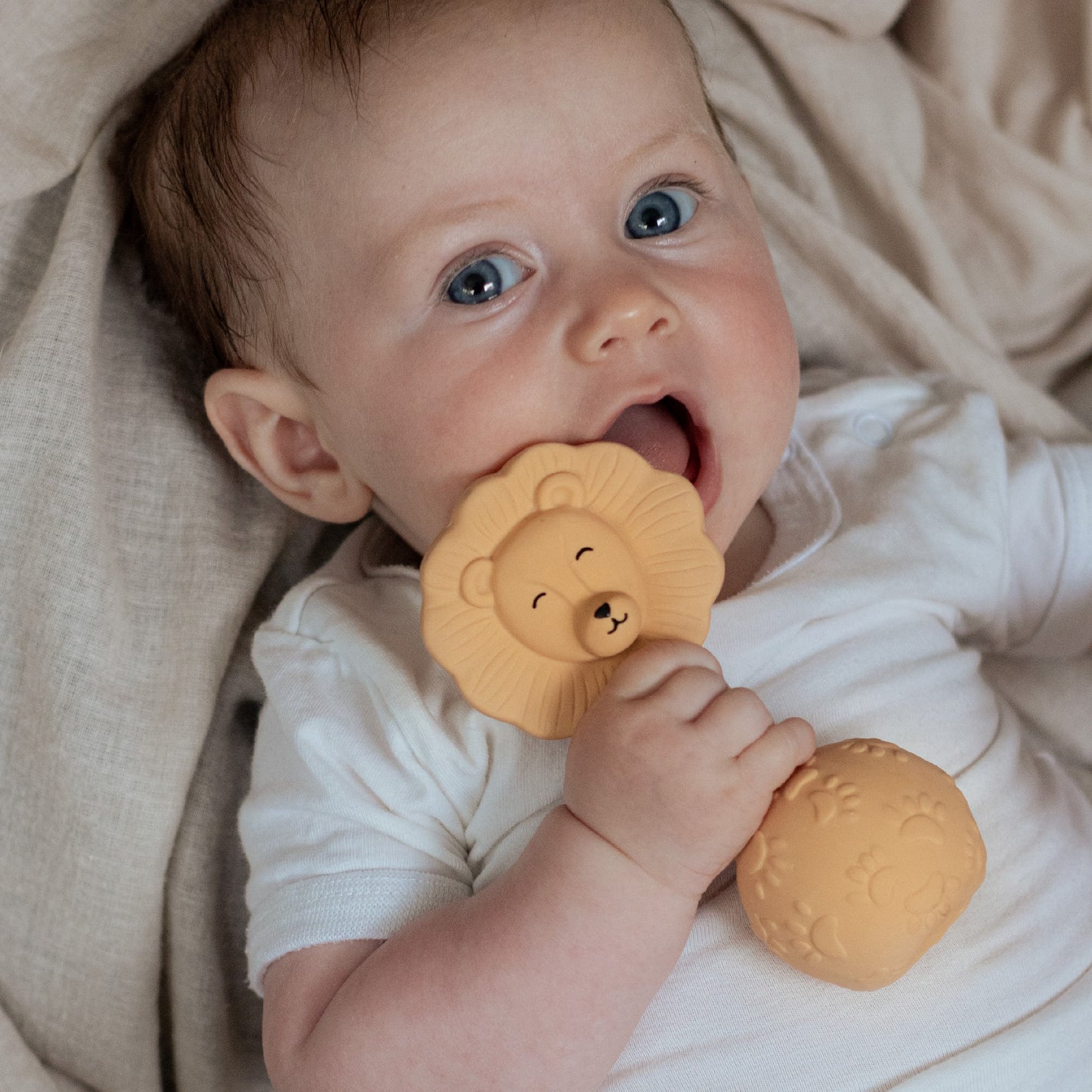 Natruba Rattle Leeuw
