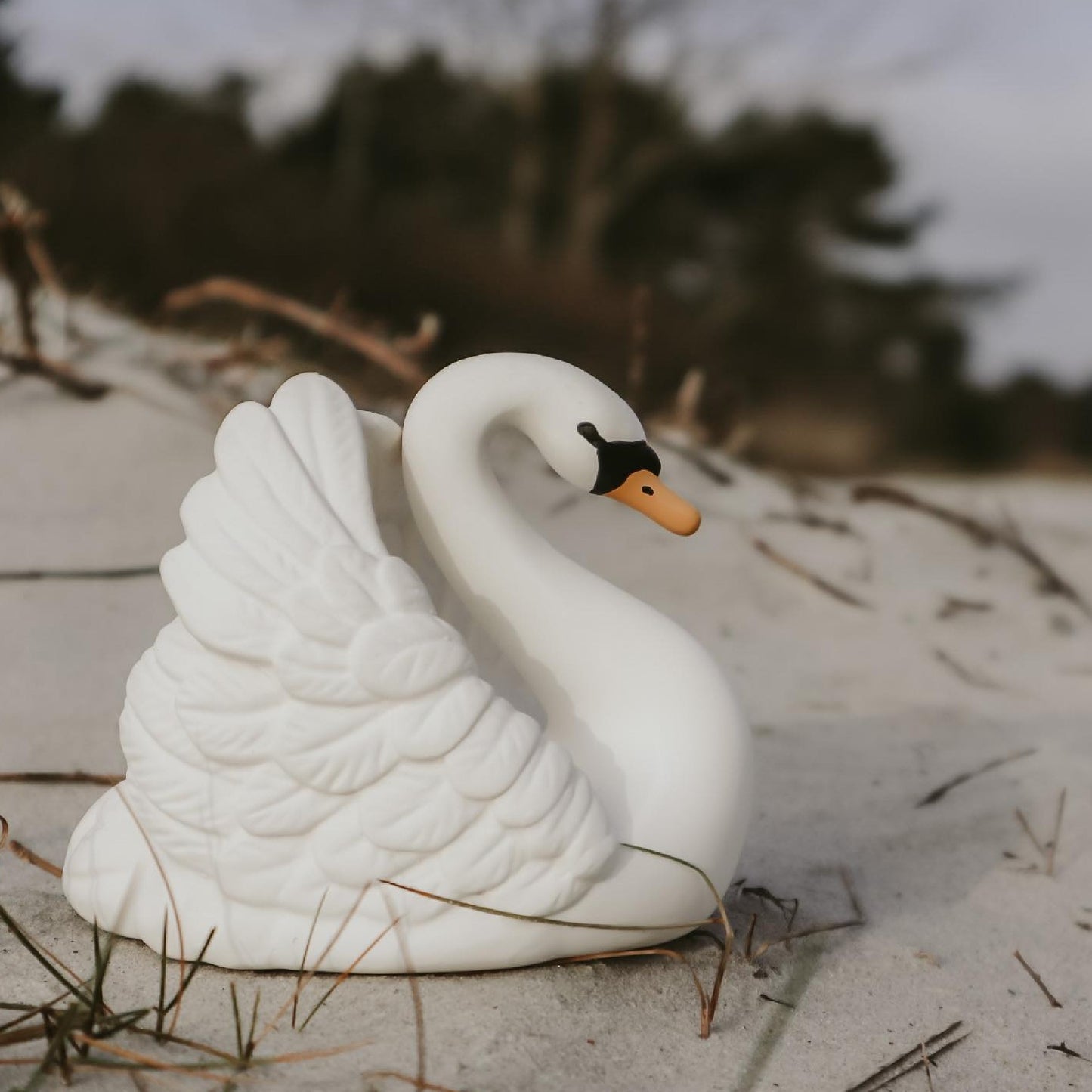 Natruba Badspeeltje Zwaan Groot
